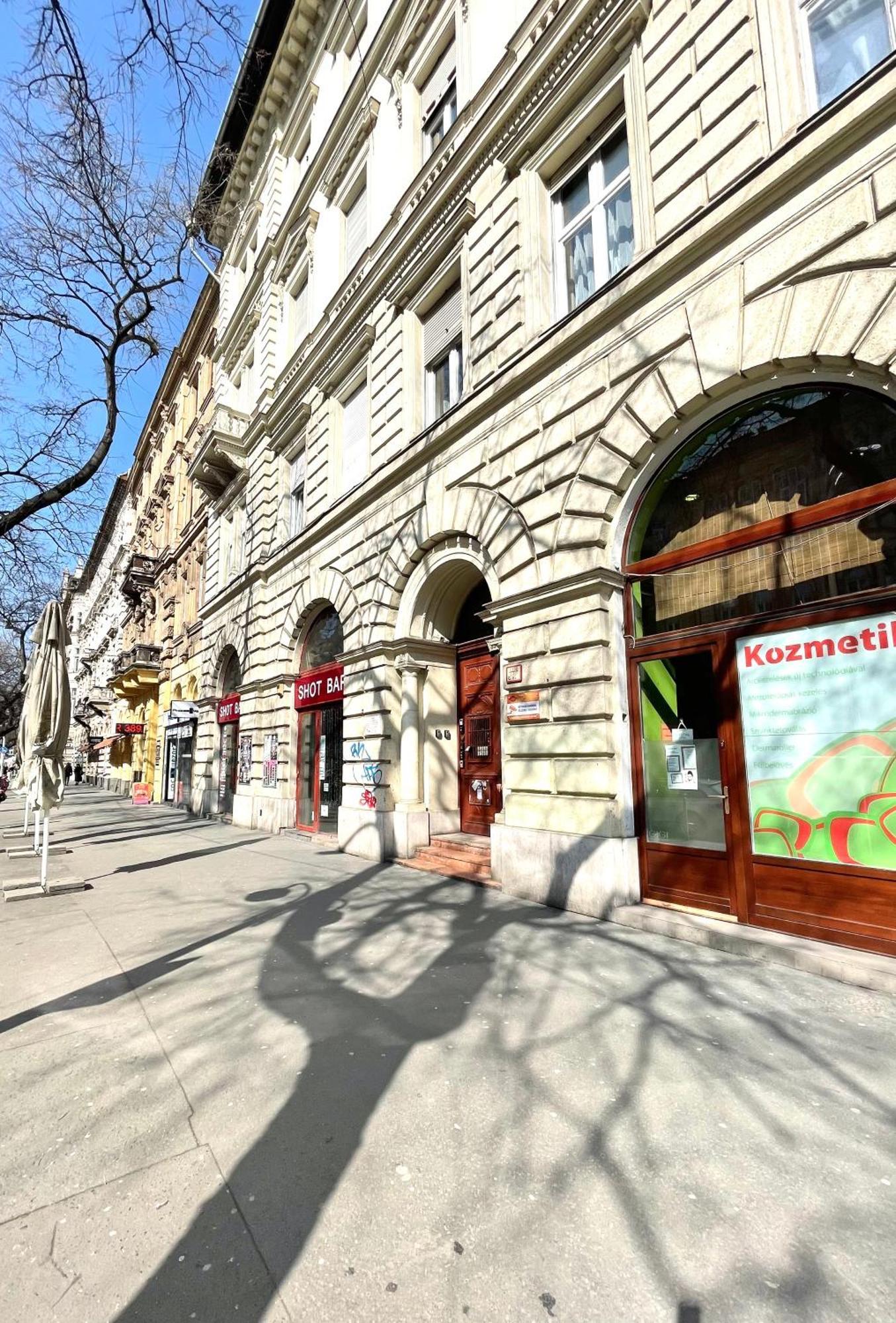 Amazing Swedish 3 Rooms Apartment In The City Center Budapest Exterior photo